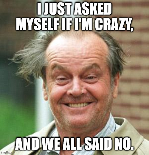 No Crazy |  I JUST ASKED MYSELF IF I'M CRAZY, AND WE ALL SAID NO. | image tagged in jack nicholson crazy hair,not crazy | made w/ Imgflip meme maker