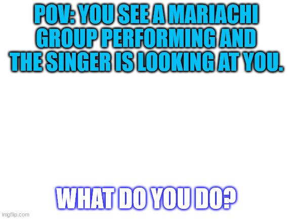 perhaps its another romance rp | POV: YOU SEE A MARIACHI GROUP PERFORMING AND THE SINGER IS LOOKING AT YOU. WHAT DO YOU DO? | image tagged in blank white template | made w/ Imgflip meme maker