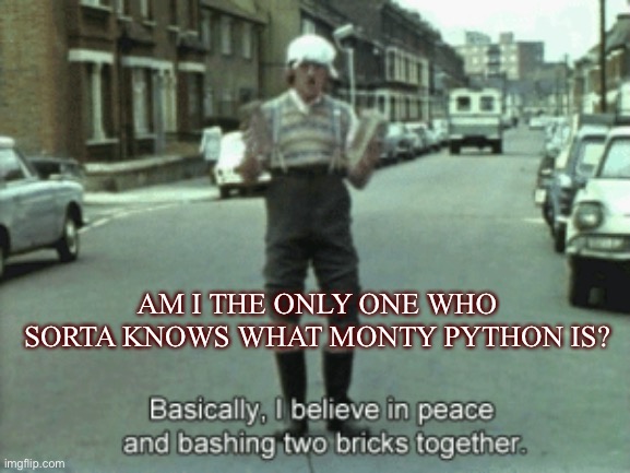 N O  T H I S  I S  N O T  H I T L E R | AM I THE ONLY ONE WHO SORTA KNOWS WHAT MONTY PYTHON IS? | image tagged in basically i believe in peace and bashing two bricks together,monty python | made w/ Imgflip meme maker