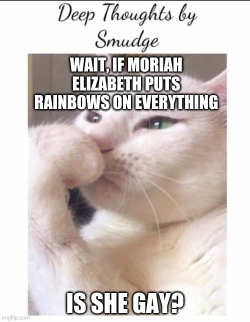 Smudge | WAIT, IF MORIAH ELIZABETH PUTS RAINBOWS ON EVERYTHING; IS SHE GAY? | image tagged in smudge | made w/ Imgflip meme maker