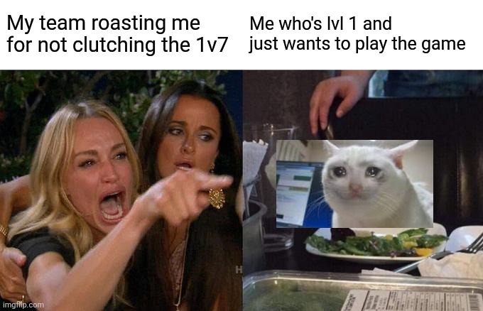 Woman Yelling At Cat Meme | My team roasting me for not clutching the 1v7; Me who's lvl 1 and just wants to play the game | image tagged in memes,woman yelling at cat | made w/ Imgflip meme maker