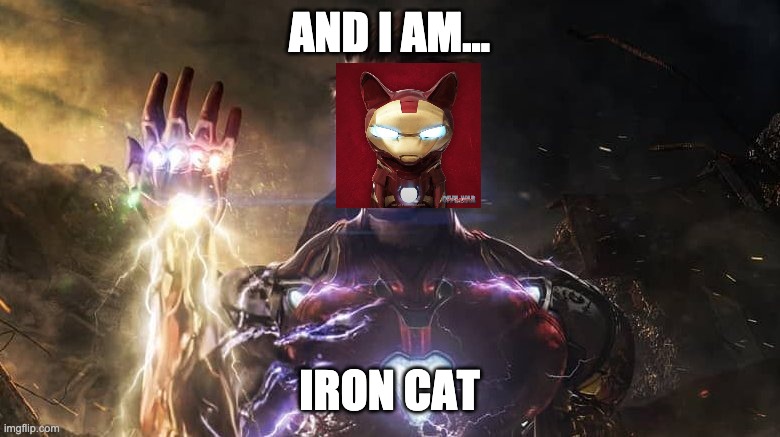 I am iron man | AND I AM... IRON CAT | image tagged in i am iron man | made w/ Imgflip meme maker