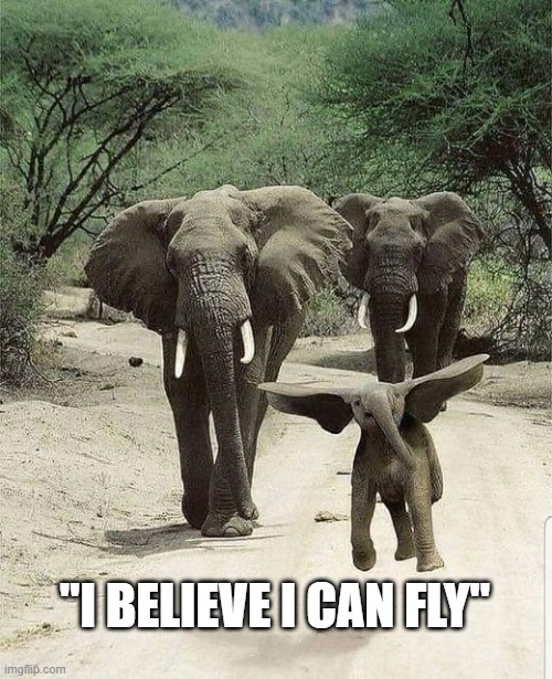 I believe I can Fly |  "I BELIEVE I CAN FLY" | image tagged in hope,positive thinking,elephant,baby elephant | made w/ Imgflip meme maker