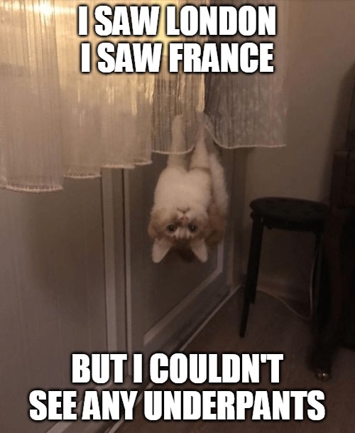 I SAW LONDON
I SAW FRANCE; BUT I COULDN'T SEE ANY UNDERPANTS | image tagged in memes,cat,cats | made w/ Imgflip meme maker