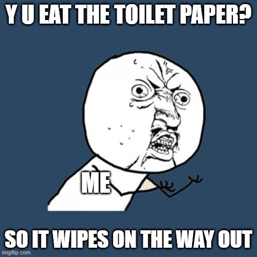 Y U B DUM | Y U EAT THE TOILET PAPER? ME; SO IT WIPES ON THE WAY OUT | image tagged in memes,y u no | made w/ Imgflip meme maker