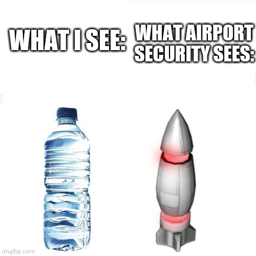 WHAT AIRPORT SECURITY SEES:; WHAT I SEE: | image tagged in memes,airport | made w/ Imgflip meme maker