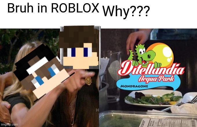 Bruh | Bruh in ROBLOX; Why??? | image tagged in memes,summer | made w/ Imgflip meme maker