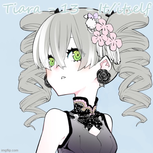 Tiara - Paige's OC (Comments for more Info) | Tiara - 13 - It/itself | made w/ Imgflip meme maker