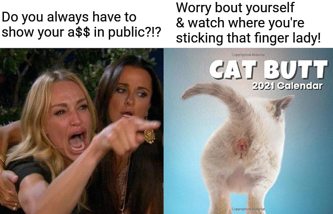 Worry bout yourself & watch where you're sticking that finger lady! Do you always have to show your a$$ in public?!? | image tagged in cats,woman yelling at cat,calendar,butt,memes | made w/ Imgflip meme maker