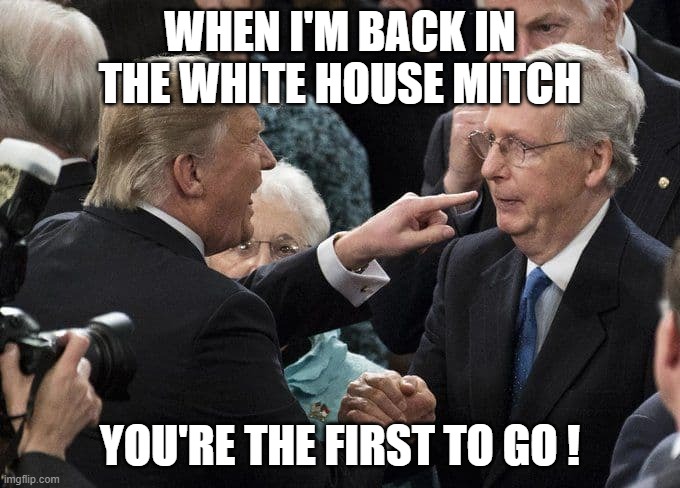 Trump | WHEN I'M BACK IN THE WHITE HOUSE MITCH; YOU'RE THE FIRST TO GO ! | image tagged in mitch mcconnell | made w/ Imgflip meme maker