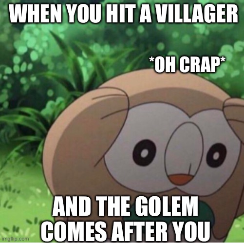 Big mistake buddy | WHEN YOU HIT A VILLAGER; *OH CRAP*; AND THE GOLEM COMES AFTER YOU | image tagged in minecraft,well that escalated quickly | made w/ Imgflip meme maker
