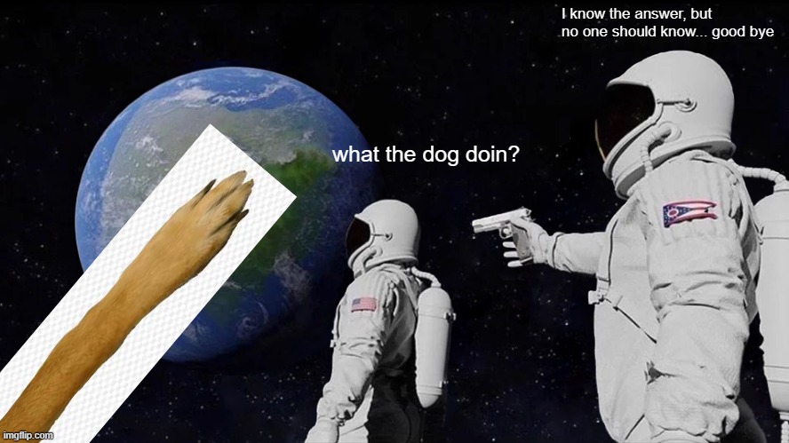 What the dog doin? | I know the answer, but no one should know... good bye; what the dog doin? | image tagged in memes,always has been,what the dog doin | made w/ Imgflip meme maker