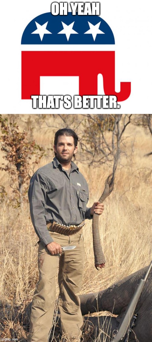 OH YEAH THAT'S BETTER. | image tagged in republican,donald trump jr | made w/ Imgflip meme maker