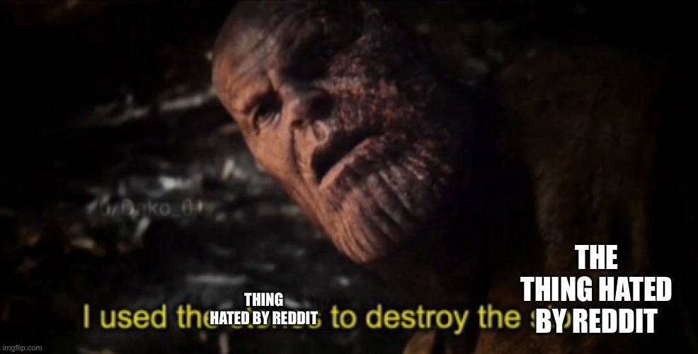 I used the stones to destroy the stones | THING HATED BY REDDIT THE THING HATED BY REDDIT | image tagged in i used the stones to destroy the stones | made w/ Imgflip meme maker