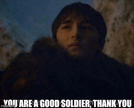You are a good man. Thank you | YOU ARE A GOOD SOLDIER, THANK YOU | image tagged in you are a good man thank you | made w/ Imgflip meme maker