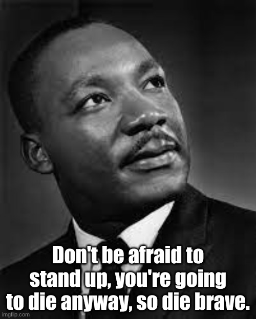 Don't be afraid to stand up, you're going to die anyway, so die brave. | image tagged in truth | made w/ Imgflip meme maker