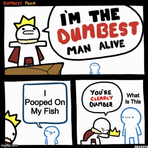 CLEARLY HE IS SOOOOOOO DUMB | I Pooped On My Fish; What Is This | image tagged in i'm the dumbest man alive | made w/ Imgflip meme maker