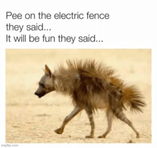 Chuckle-worthy | image tagged in electricity,pee | made w/ Imgflip meme maker
