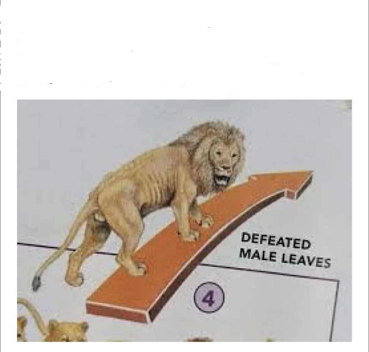 Defeated lion leaves Blank Meme Template