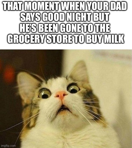 wow | THAT MOMENT WHEN YOUR DAD 
SAYS GOOD NIGHT BUT 
HE’S BEEN GONE TO THE 
GROCERY STORE TO BUY MILK | image tagged in memes,scared cat,funny,that moment when | made w/ Imgflip meme maker