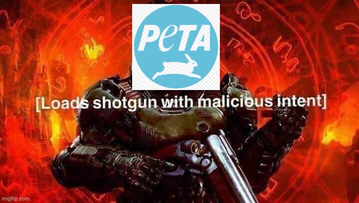Loads shotgun with malicious intent | image tagged in loads shotgun with malicious intent | made w/ Imgflip meme maker