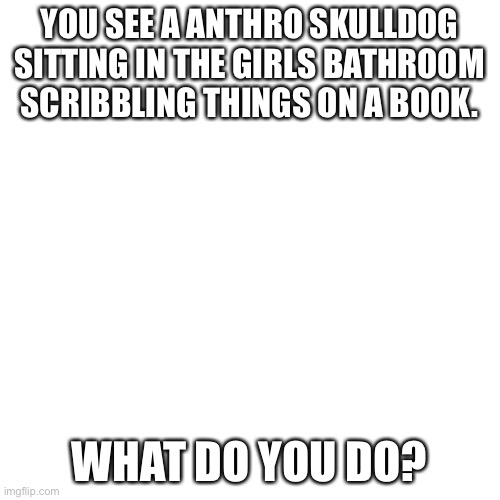 (Possible romance) Preferably girl or enby OCs | YOU SEE A ANTHRO SKULLDOG SITTING IN THE GIRLS BATHROOM SCRIBBLING THINGS ON A BOOK. WHAT DO YOU DO? | image tagged in memes,blank transparent square | made w/ Imgflip meme maker