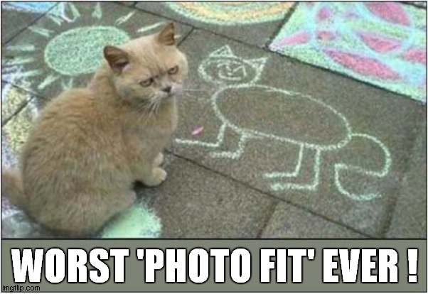 They'll Never Catch Me ! | WORST 'PHOTO FIT' EVER ! | image tagged in cats,worse,photo fit | made w/ Imgflip meme maker