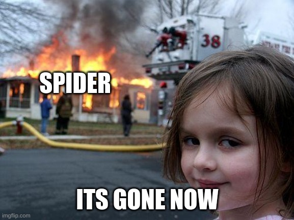 spider | SPIDER; ITS GONE NOW | image tagged in memes,disaster girl | made w/ Imgflip meme maker