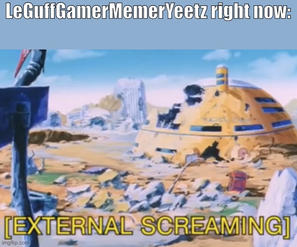 External Screaming | LeGuffGamerMemerYeetz right now: | image tagged in external screaming | made w/ Imgflip meme maker