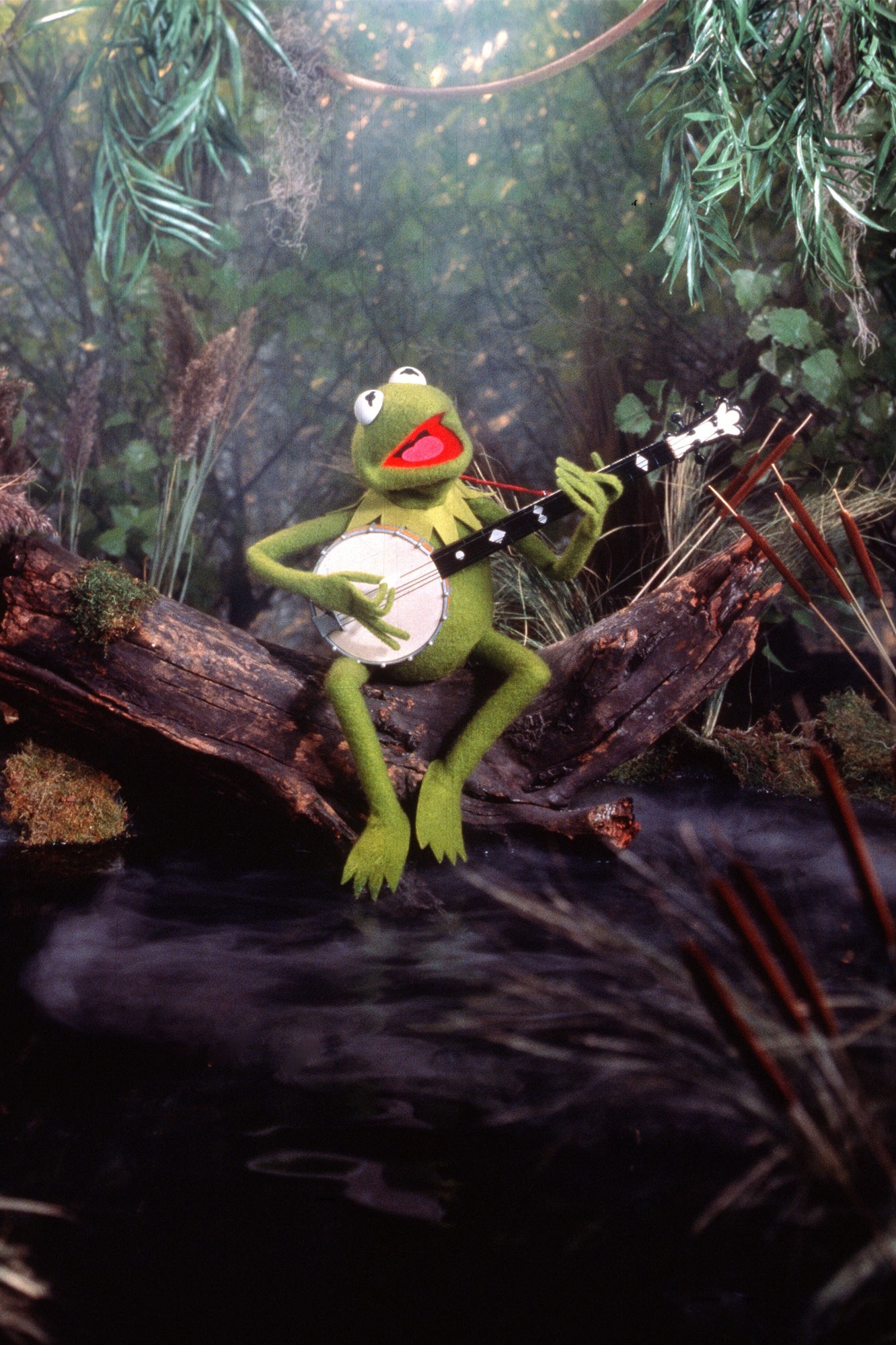 Kermit sings a song Blank Meme Template