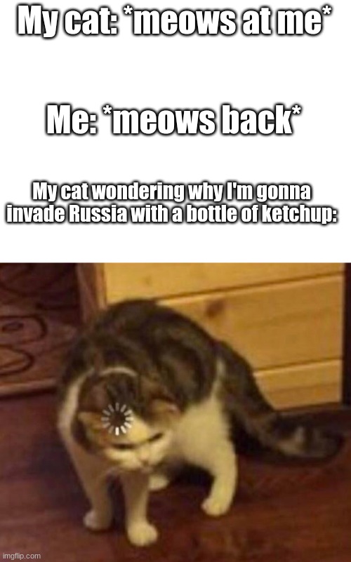 My cat: *meows at me*; Me: *meows back*; My cat wondering why I'm gonna invade Russia with a bottle of ketchup: | image tagged in blank white template,thinking cat | made w/ Imgflip meme maker