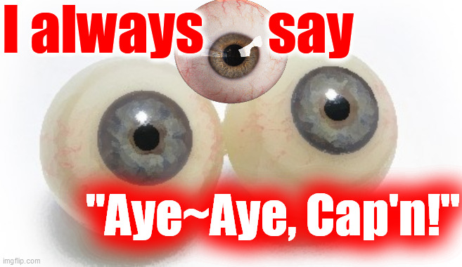 eyeballs | I always      say "Aye~Aye, Cap'n!" | image tagged in eyeballs | made w/ Imgflip meme maker