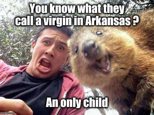 You know what they call a virgin in Arkansas ? An only child | made w/ Imgflip meme maker