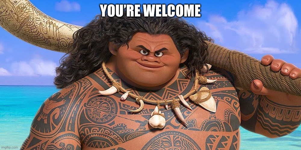 You’re welcome | YOU’RE WELCOME | image tagged in you re welcome | made w/ Imgflip meme maker