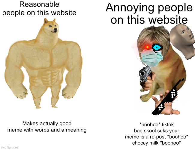 This is a re-post of an older meme from a few months ago | Reasonable people on this website; Annoying people on this website; *boohoo* tiktok bad skool suks your meme is a re-post *boohoo* choccy milk *boohoo*; Makes actually good meme with words and a meaning | image tagged in memes,buff doge vs cheems | made w/ Imgflip meme maker