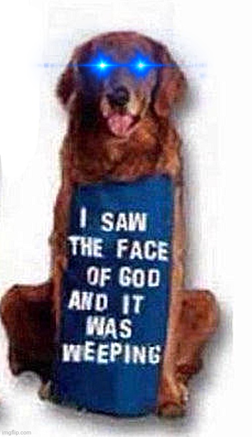 the dog will destroy you | made w/ Imgflip meme maker