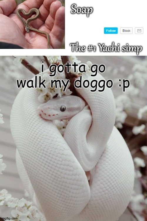 i gotta go walk my doggo :p | image tagged in soap snake temp ty yachi | made w/ Imgflip meme maker