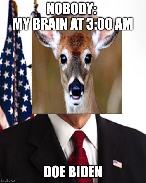 Trash meme 3 am garbage | NOBODY: 
MY BRAIN AT 3:00 AM; DOE BIDEN | image tagged in funny | made w/ Imgflip meme maker