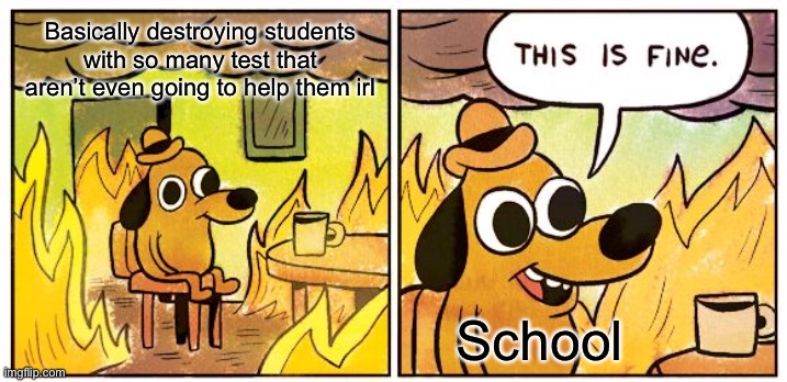 Definitely fine | Basically destroying students with so many test that aren’t even going to help them irl; School | image tagged in memes,this is fine | made w/ Imgflip meme maker