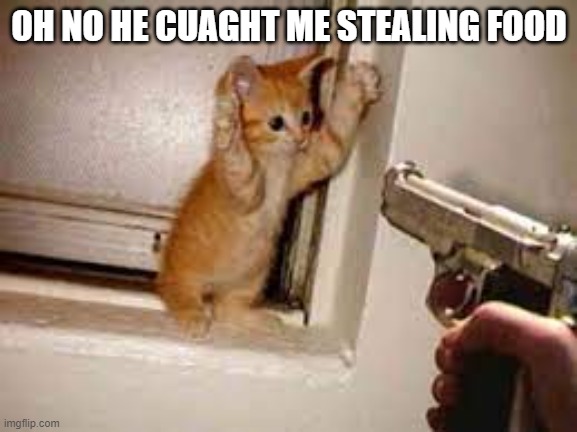 pls don't shoot! | OH NO HE CUAGHT ME STEALING FOOD | image tagged in pls don't shoot | made w/ Imgflip meme maker