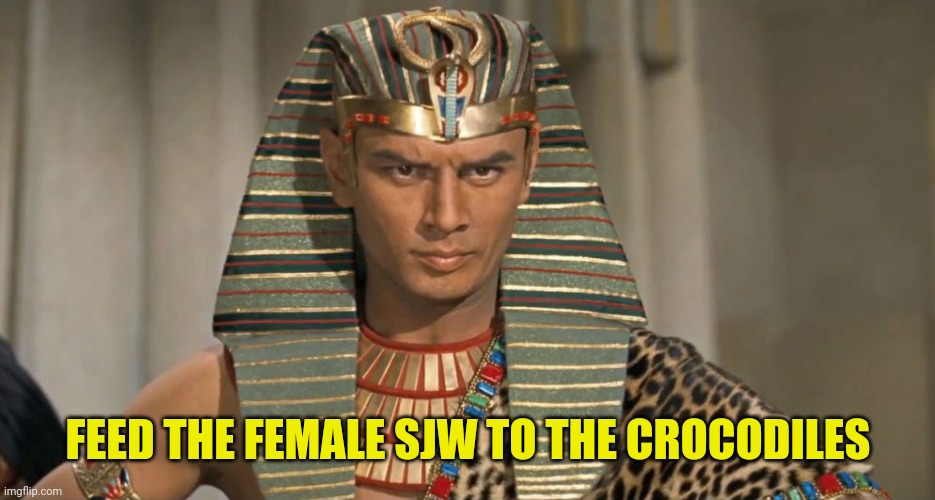 pharoah | FEED THE FEMALE SJW TO THE CROCODILES | image tagged in pharoah | made w/ Imgflip meme maker