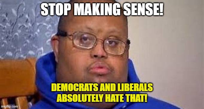 STOP MAKING SENSE! DEMOCRATS AND LIBERALS
ABSOLUTELY HATE THAT! | made w/ Imgflip meme maker