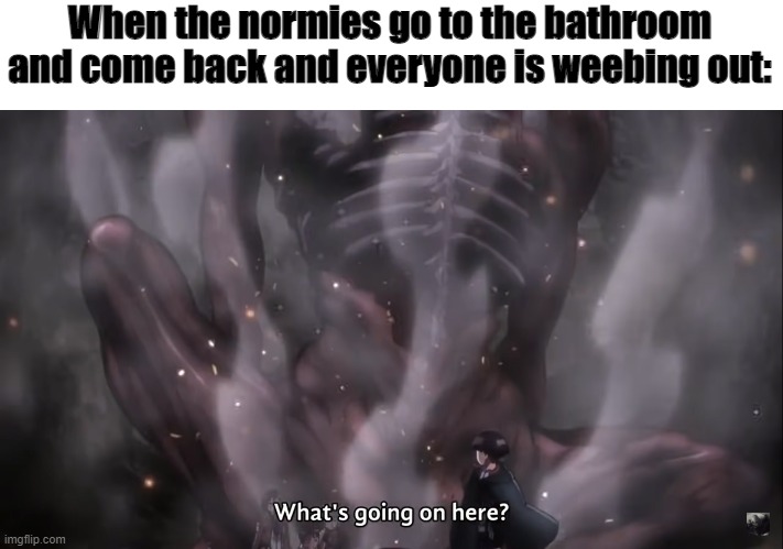 SHINZOU WO SASAGEYO | When the normies go to the bathroom and come back and everyone is weebing out: | image tagged in aot,levi,weeb,attack on titan,snk,shingeki no kyojin | made w/ Imgflip meme maker