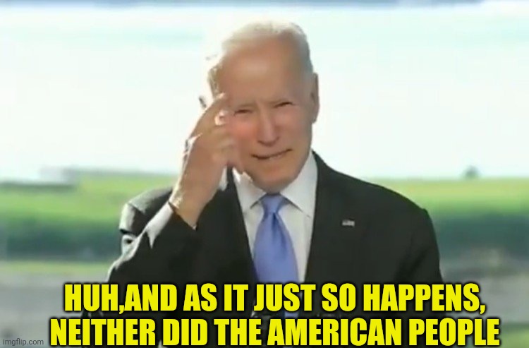 HUH,AND AS IT JUST SO HAPPENS, NEITHER DID THE AMERICAN PEOPLE | made w/ Imgflip meme maker