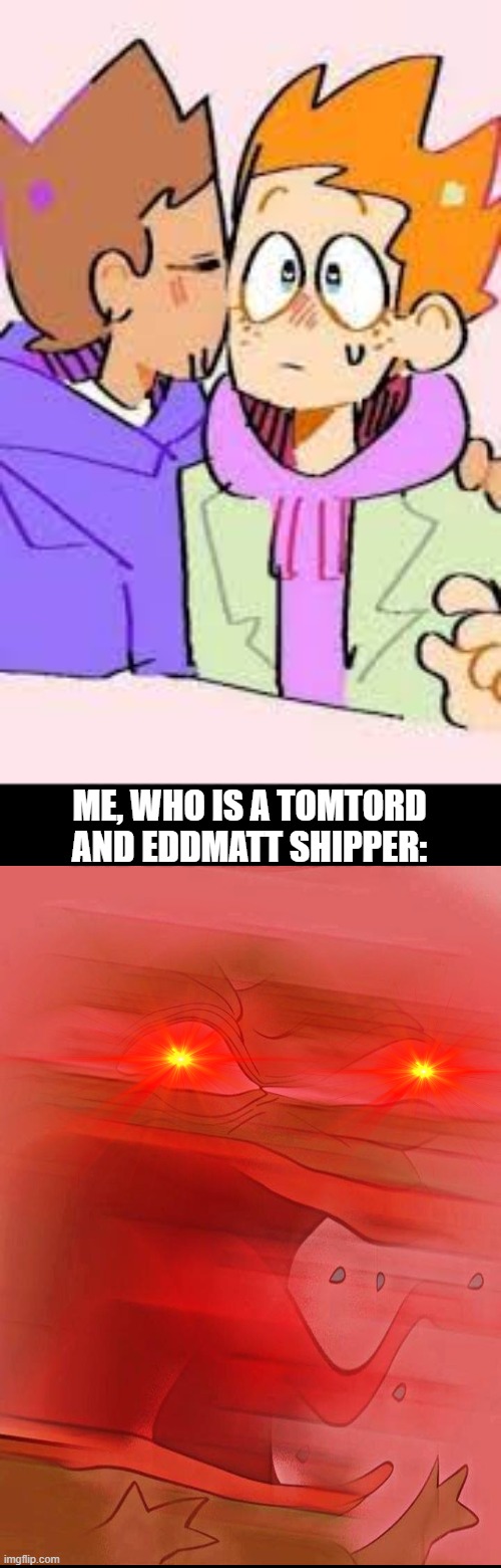 NO THIS EXISTS!??!?!?!?!?!  | ME, WHO IS A TOMTORD AND EDDMATT SHIPPER: | made w/ Imgflip meme maker