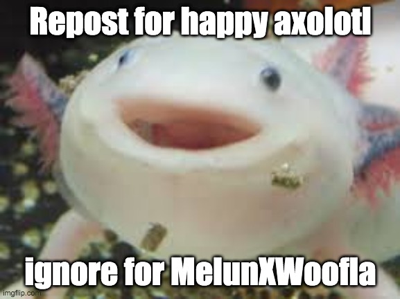 Please dont ignore.. make the axolotl happeh | Repost for happy axolotl; ignore for MelunXWoofla | image tagged in axolotl | made w/ Imgflip meme maker