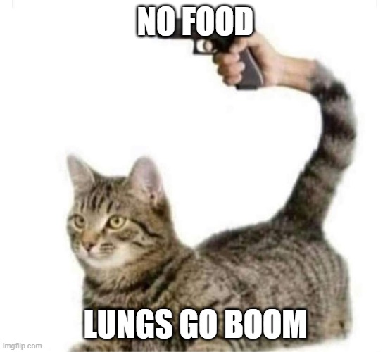 gun boi pew | NO FOOD; LUNGS GO BOOM | image tagged in gun boi pew | made w/ Imgflip meme maker