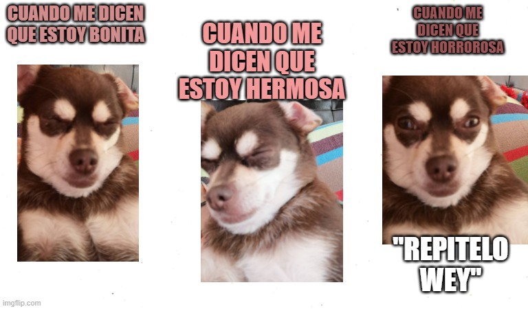 AMMMMMMMMBARRRRRRRRR | CUANDO ME DICEN QUE ESTOY HERMOSA; CUANDO ME DICEN QUE ESTOY HORROROSA; CUANDO ME DICEN QUE ESTOY BONITA; "REPITELO WEY" | image tagged in funny,funny meme | made w/ Imgflip meme maker