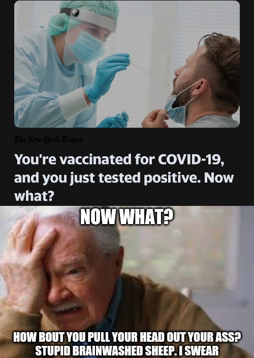 NOW WHAT? HOW BOUT YOU PULL YOUR HEAD OUT YOUR ASS?
STUPID BRAINWASHED SHEEP. I SWEAR | image tagged in grumpy old men,vaccines,memes,covid-19,corona,lies | made w/ Imgflip meme maker