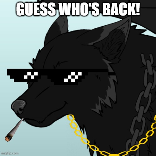 Eh! It's aboot time I came back! | GUESS WHO'S BACK! | image tagged in canada,i'm back,lgbt,reaper,memes | made w/ Imgflip meme maker